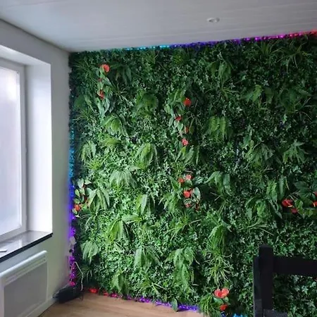 Appartamento Jungle