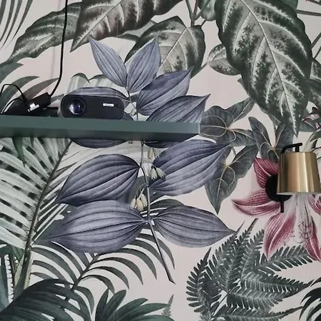 Jungle